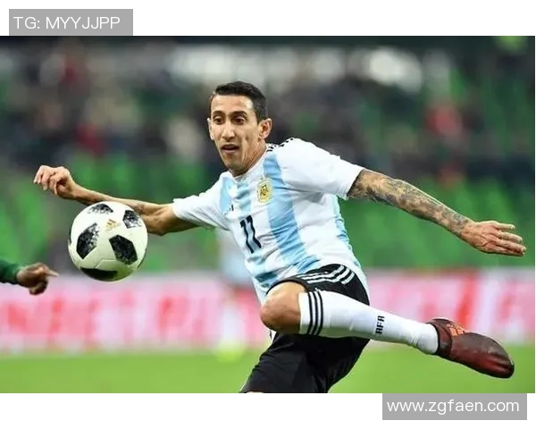 足球明星豹子头的传奇之路与足球世界的辉煌成就探秘